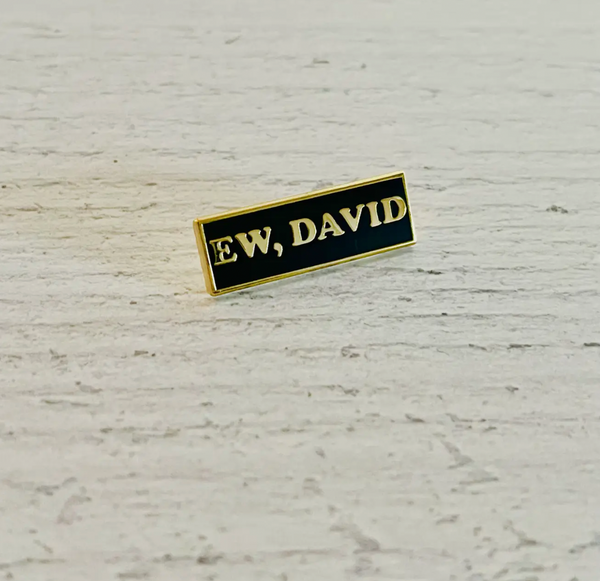 "Ew, David" hard enamel lapel pin // The Silver Spider